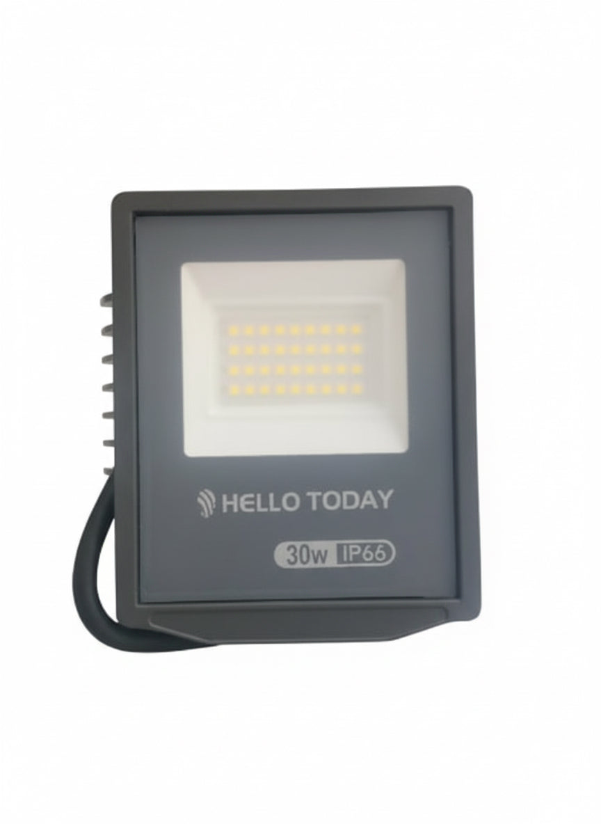 30W LED Flood Light Outdoor Waterproof Security Light (Cool White 6500K, IP66) A1-13