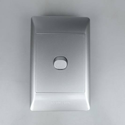 REDISSON A101(SIL) Paddle Light Switch  Silver 2 Channel Wall Switch (4x2, 16A)