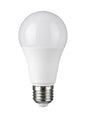 12V 9W A60 LED Bulb (900lm, cool White, E27)