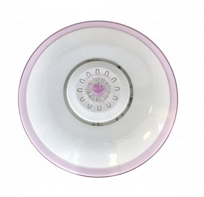 48W LED 2-Color Ceiling Light  Pink Decorative Flush Mount (Model TXDL9007)