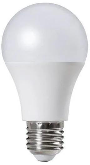 12W LED A65 Bulb  E27 Screw, 6500K Cool White, 1200 Lumens