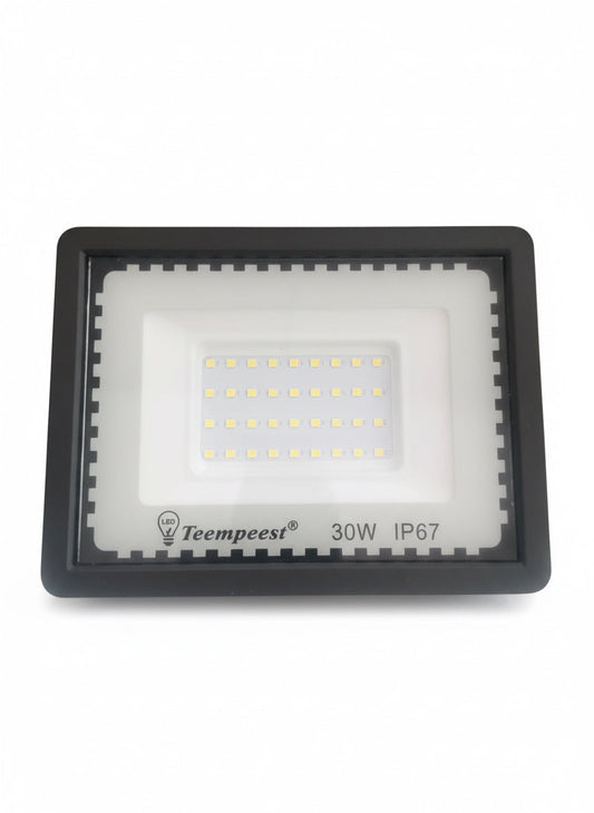 30W LED Flood Light  Waterproof Outdoor Security Light (Cool White 6000K, IP67)     FYFLD 30W