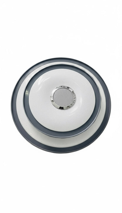24W Smart LED Ceiling Light with Bluetooth Speaker  TXDL9007