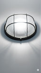 Round Bulkhead Outdoor Wall Light Fitting  B2002L