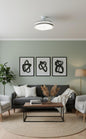 Modern LED Ceiling Fan with Retractable Blades  FL-653