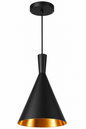 Modern Black and Gold pendant light fitting
